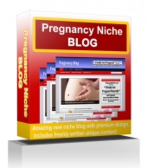 Product picture Pregnancy Niche Blog