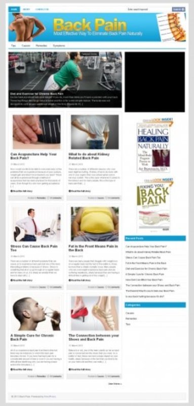 Product picture Back Pain PLR Niche Blog 